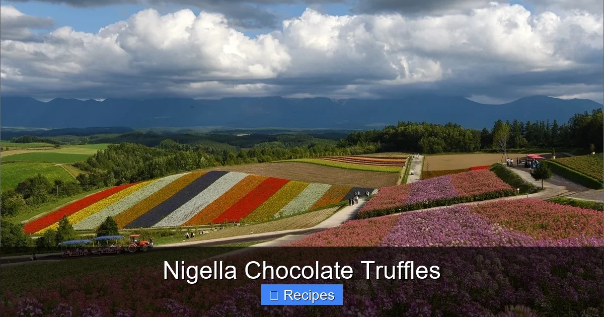 Nigella Chocolate Truffles