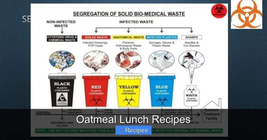 Oatmeal Lunch Recipes Oatmeal Lunch Recipes