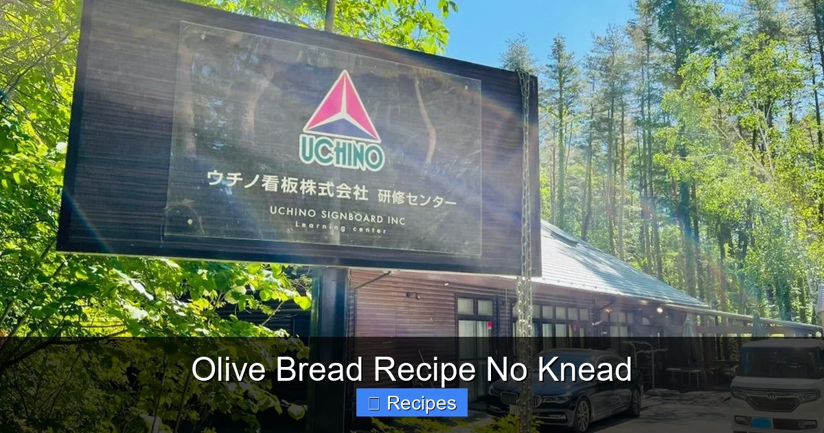 Olive Bread Recipe No Knead